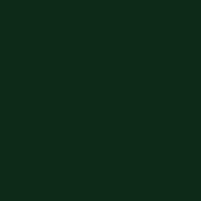 Solid Dark Green #0D2A19