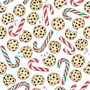 Merry Christmas sweet candy and hand drawn chocolate cookies  