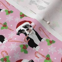 Boston Terrier Puppy Santa hat candy cane Christmas dog pink