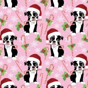 Boston Terrier Puppy Santa hat candy cane Christmas dog pink