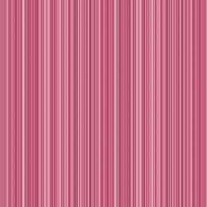 varied_stripe_thin_rose