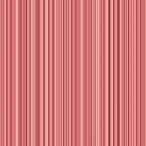 varied_stripe_thin_salmon