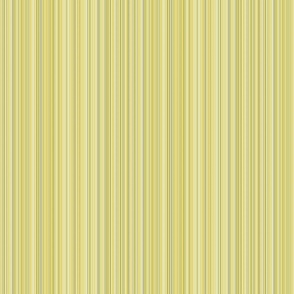 varied_stripe_olive_gold
