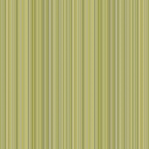 varied_stripe_olive_green