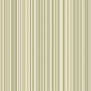 varied_stripe_olive_beige