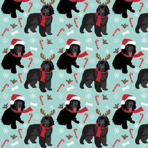 Newfoundland dog 3x3 Xmas