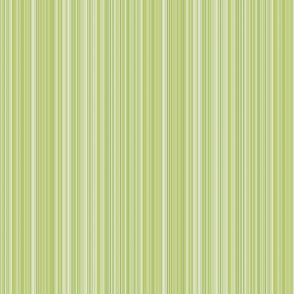 varied_stripe_avocado_greens