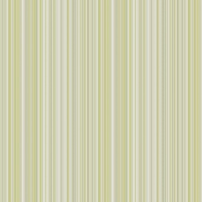 varied_stripe_avocado_beige
