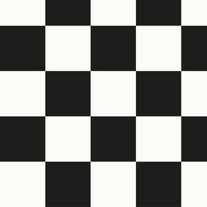 Black and white checkerboard