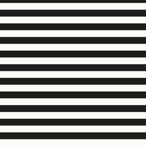 Black and white stripe hori