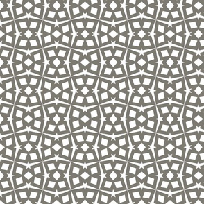 Geometric Design Grey and White Tile