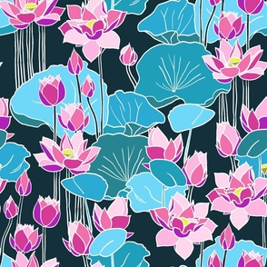 lotus water lily 