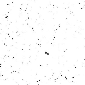 Black and White Speckle Spatter Regular Scale