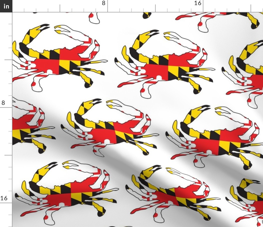 jumbo Maryland flag crab