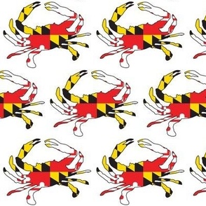 large Maryland flag crabs