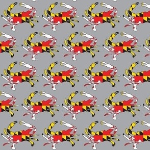 small Maryland flag crabs on grey