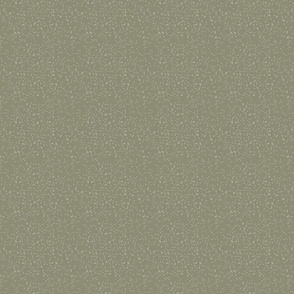 Olive Texture