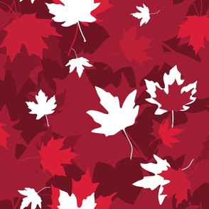 Canada Day - Canadian Maple Leaves (Large)