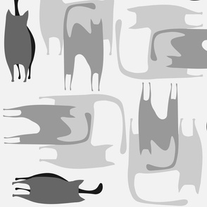 Monochrome Black Cats - Multi - Directional 
