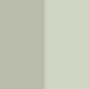 Wide sage green stripes