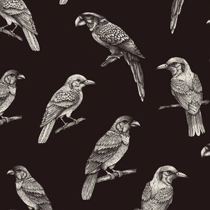 Vintage monochrome birds on black