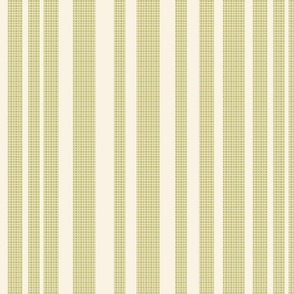 Coastal Textured Vertical Stripes in Dill Green and Ivory Off White