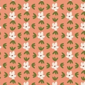 Coral white blooms  2x 3in
