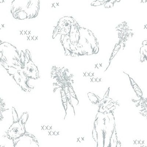 Cotton Tail Bunny Rabbit Detailed Gray Blue Outlines