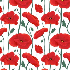 Bold Red Poppies on White