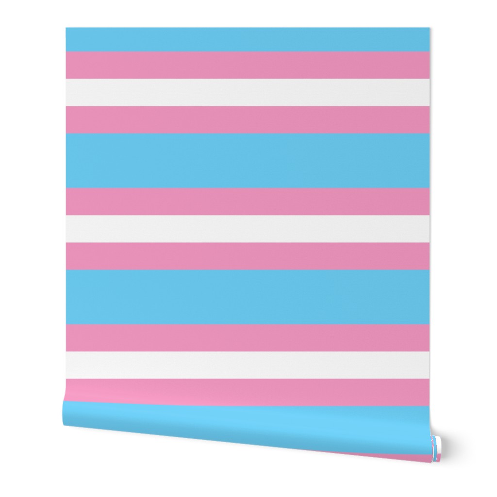 pride stripes 6" trans