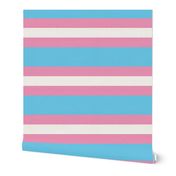 pride stripes 6" trans