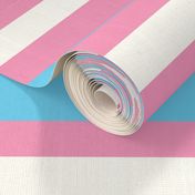 pride stripes 6" trans