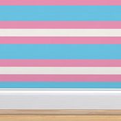 pride stripes 6" trans