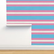 pride stripes 6" trans