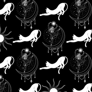 Celestial Moon Dancer and White Cat Sun Lover on a Black Background