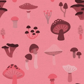 Fun Fungi - Pink