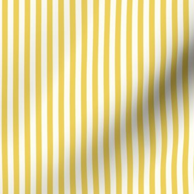 Yellow and Vanilla stripe Medium