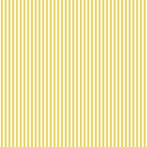 Yellow and Vanilla stripe Medium