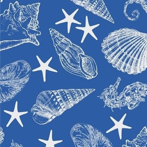 White Sea Shells on Royal Blue Large 12"