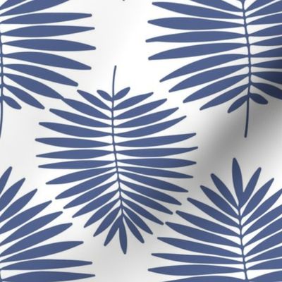 Blue fan palm leaves