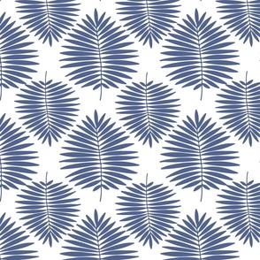 Blue fan palm leaves