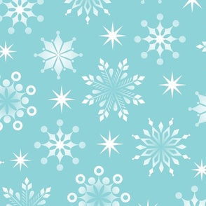 Mono Snowflakes - Pool - Large for Home Decor