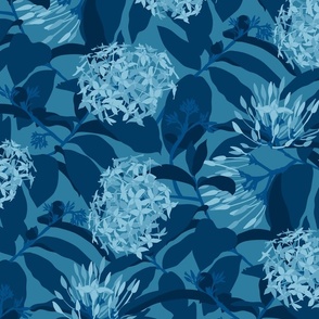 Azure Ixora Whispers - Cerulean blue (LARGE)