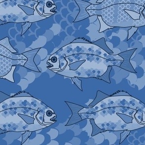 DesignerMim Blue Monochrome Underwater Fish