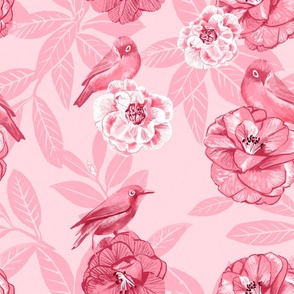 Pink Camellias with Cape White Eyed Birds