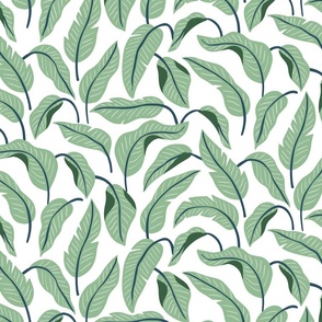 Ciro Strelitzia Leaves - Green/White