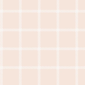 Peach And Blush  geometric Grid 2