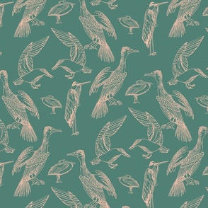 birds and fish mint background