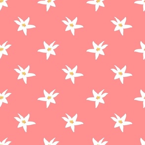 Edelweiss on pink - medium