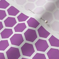 Hive - Purple